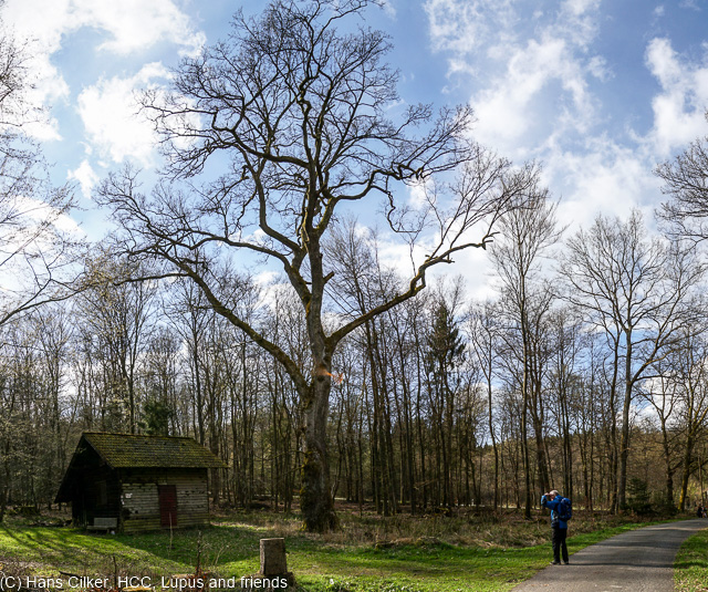Dieses mal mit dem Wanderverein auf dem Eggeweg, echt cool und man lernt Leute kennen.