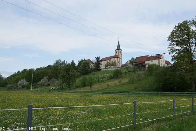 Wir starten am Aschacher Schloss und steigen rauf zum Kreuzberg, die Kombo um Dausi ist einfach nur spitze so das die Zeit wie im Fluge vergeht.