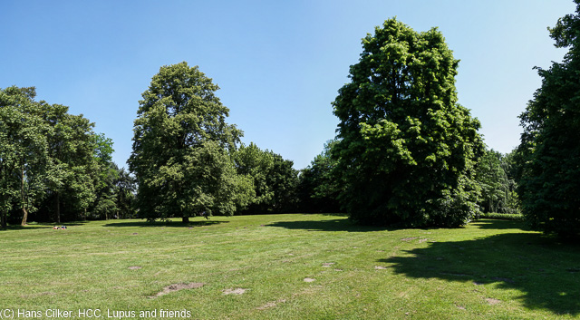 Echt schön gemacht, langsam wird der Stadtpark immer besser und heute ist Entenrennen, da ist mächtig was los.
