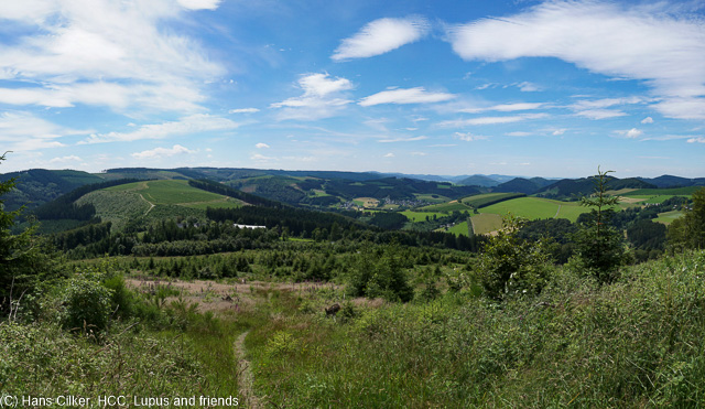 Vom Nordhang geht es nach Westfeld und über den Hohen Knochen zurück