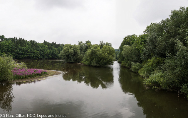wir parken am Wildpark und noch hält das Wetter, der see wie immer klasse nur etwas viel Verkehr, als wir am Rückweg sind dann richtig Wasser, aber von oben.