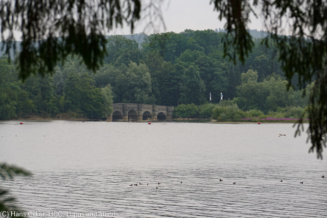 wir parken am Wildpark und noch hält das Wetter, der see wie immer klasse nur etwas viel Verkehr, als wir am Rückweg sind dann richtig Wasser, aber von oben.