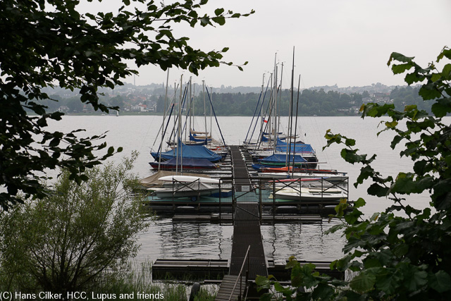 wir parken am Wildpark und noch hält das Wetter, der see wie immer klasse nur etwas viel Verkehr, als wir am Rückweg sind dann richtig Wasser, aber von oben.