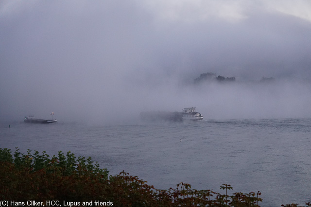 Mit dem Schiff geht es von Boppard über den Rhein nach Rüdesheim, einfach herrlich wenn aus etwas kalt.