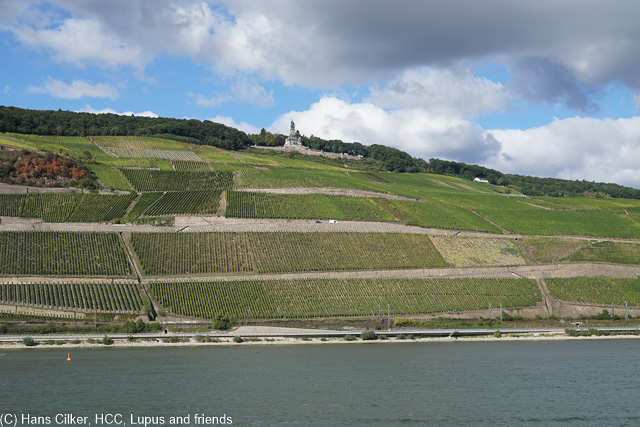 Mit dem Schiff geht es von Boppard über den Rhein nach Rüdesheim, einfach herrlich wenn aus etwas kalt.